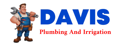 Trusted plumber in FREDERICA